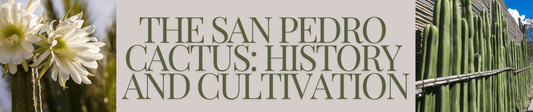 A blog image banner with title text and pictures of a San Pedro cactus.