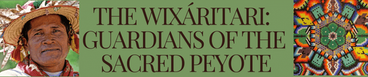 The Wixáritari: Guardians of the Sacred Peyote