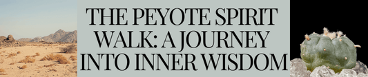 A Peyote Spirit Walk