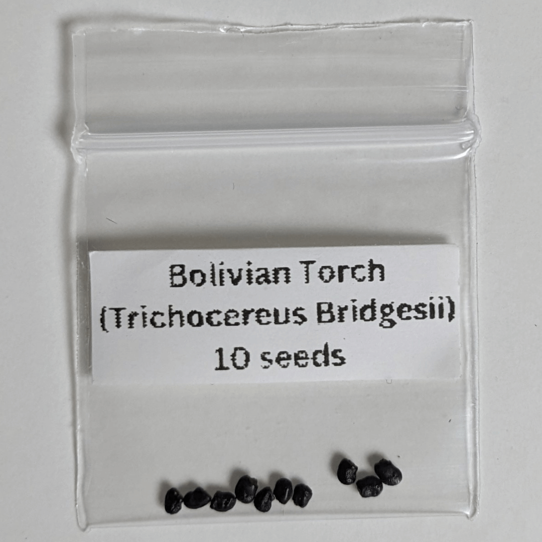 A package of ten Bolivian Torch (Trichocereus Bridgesii) seeds.
