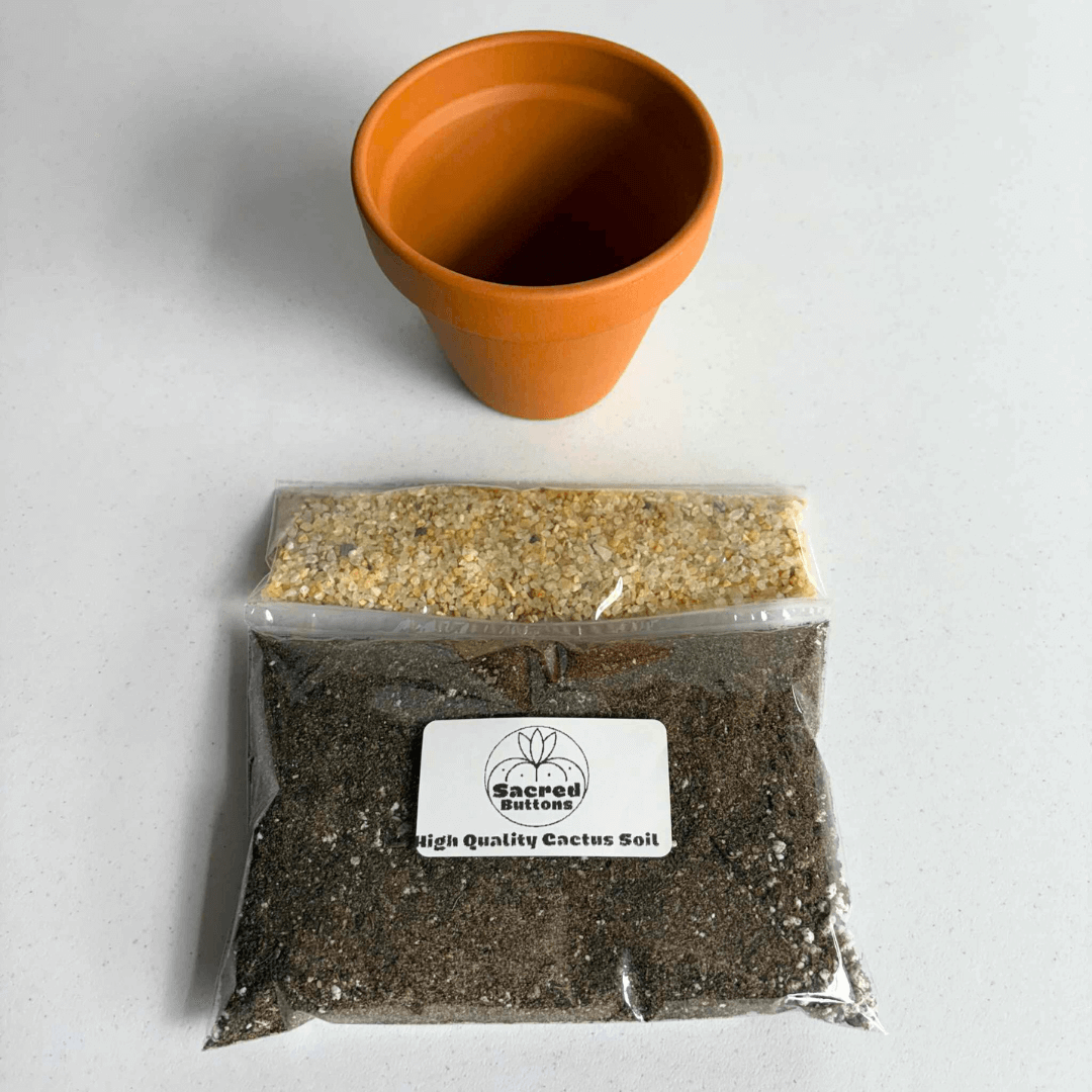 A cactus potting kit with soil and a clay pot.