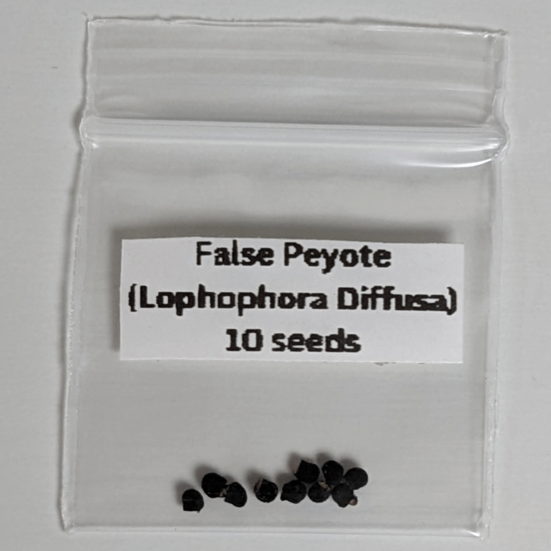 A package of ten false peyote (Lophophora diffusa) seeds.