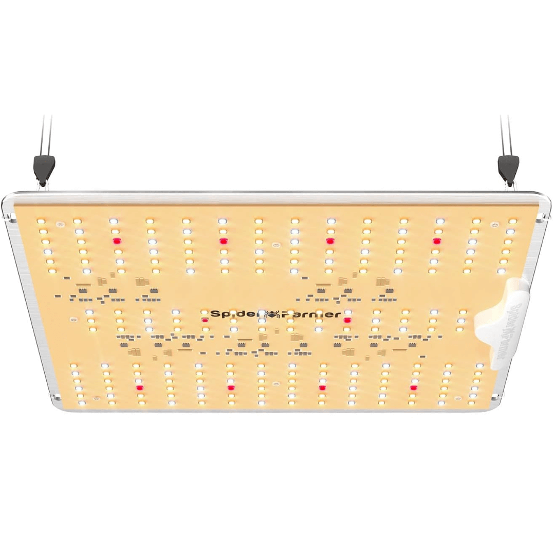 Spider Farmer LED grow light.
