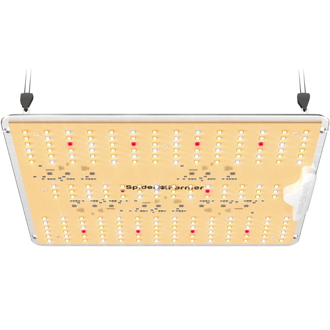 Spider Farmer LED grow light.
