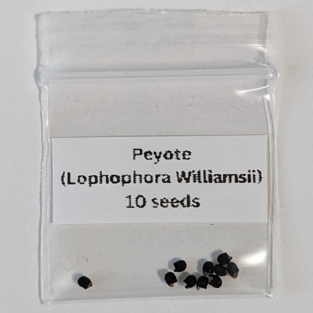 Peyote Seeds (Lophophora Williamsii)