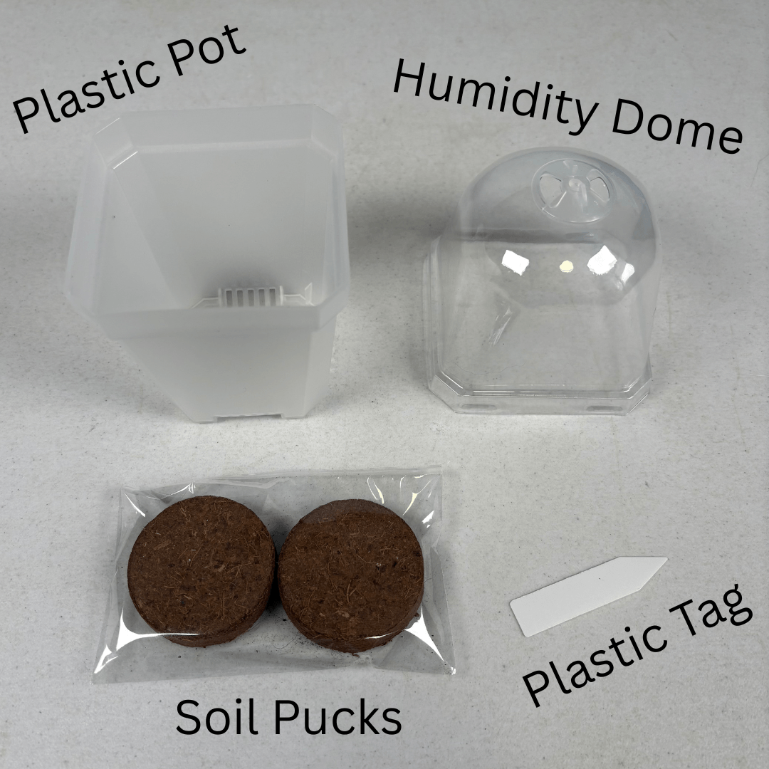 All the components of the seed starting kit, including a plastic pot, humidity dome, I.D. tag, and peat soil pucks.