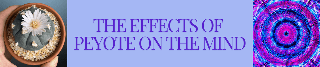 The Effects of Peyote on the Mind