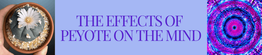 The Effects of Peyote on the Mind