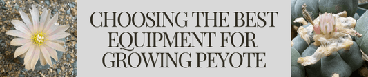 Choosing the Best Equipment for Growing Peyote 