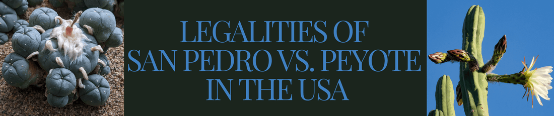 Legalities of San Pedro vs. Peyote in the USA