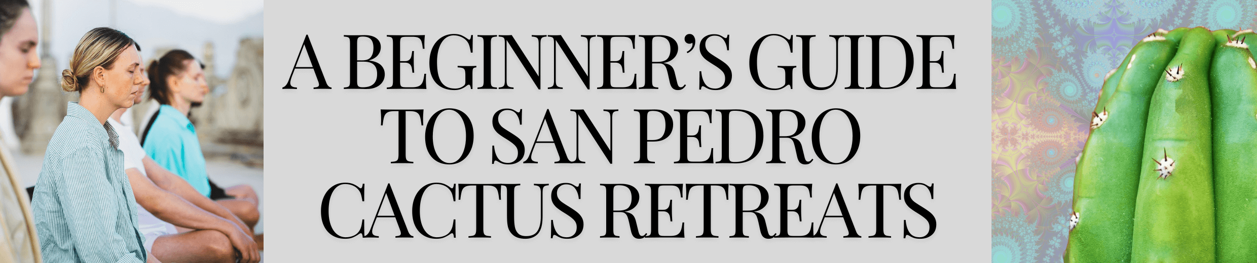 A Beginner’s Guide to San Pedro Cactus Retreats – Sacred Buttons