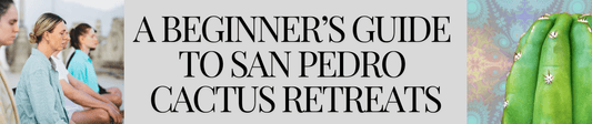 A Beginner’s Guide to San Pedro Cactus Retreats