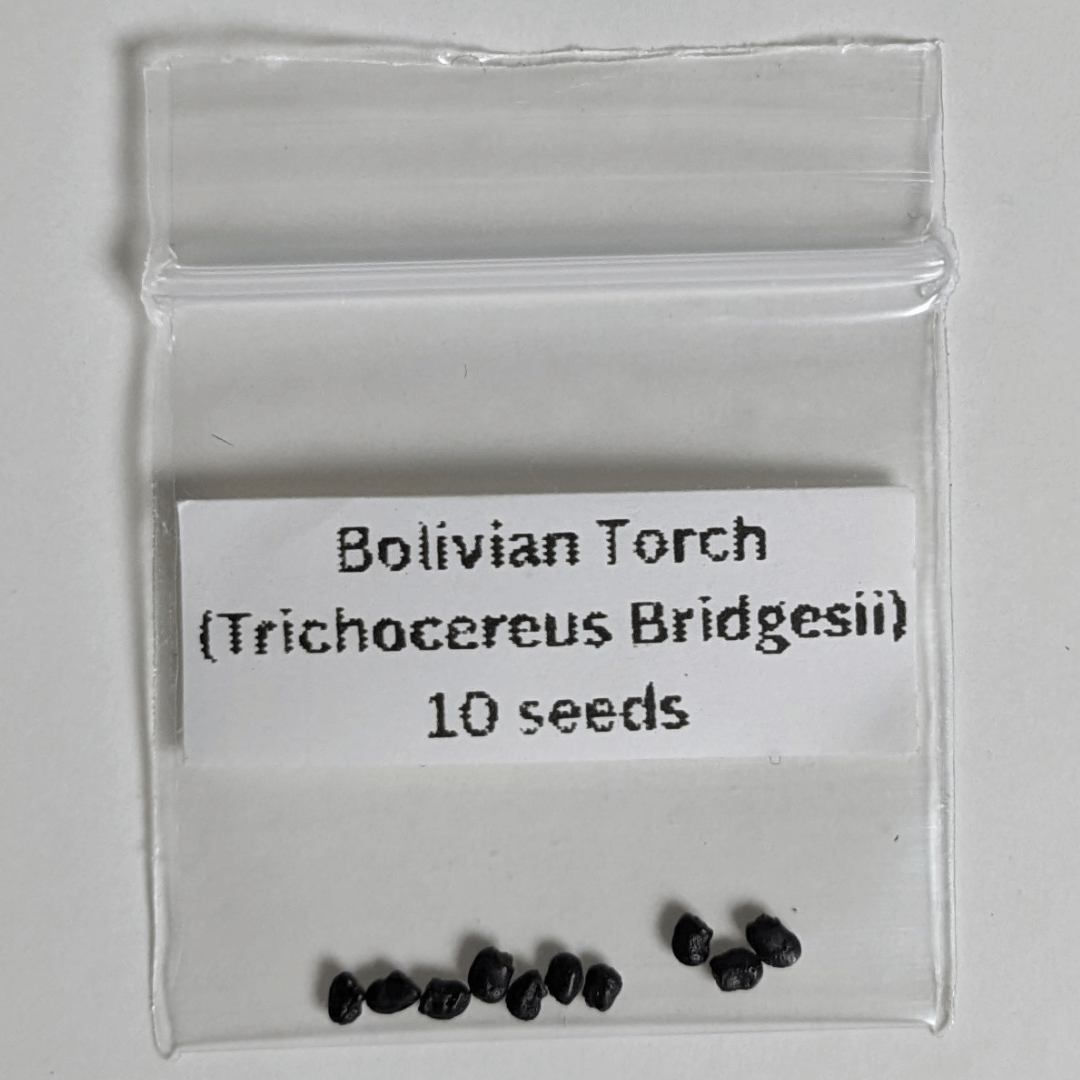A package of ten Bolivian Torch (Trichocereus Bridgesii) seeds. 