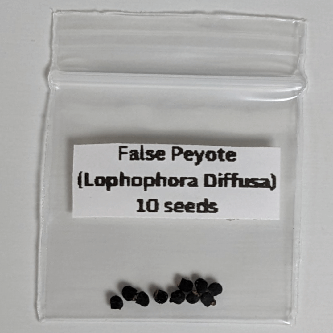 A package of ten false peyote (Lophophora diffusa) seeds. 