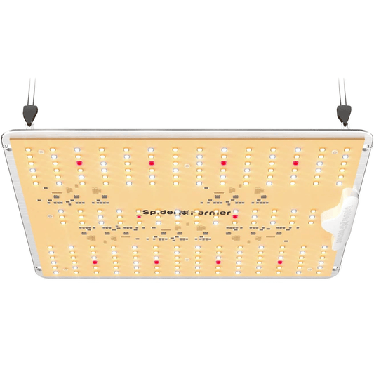 Spider Farmer LED grow light. 