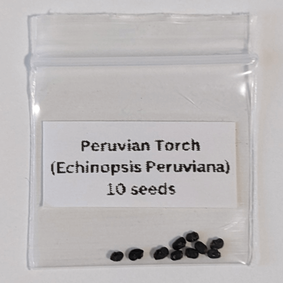 A package of ten Peruvian Torch (Echinopsis Peruviana) seeds. 