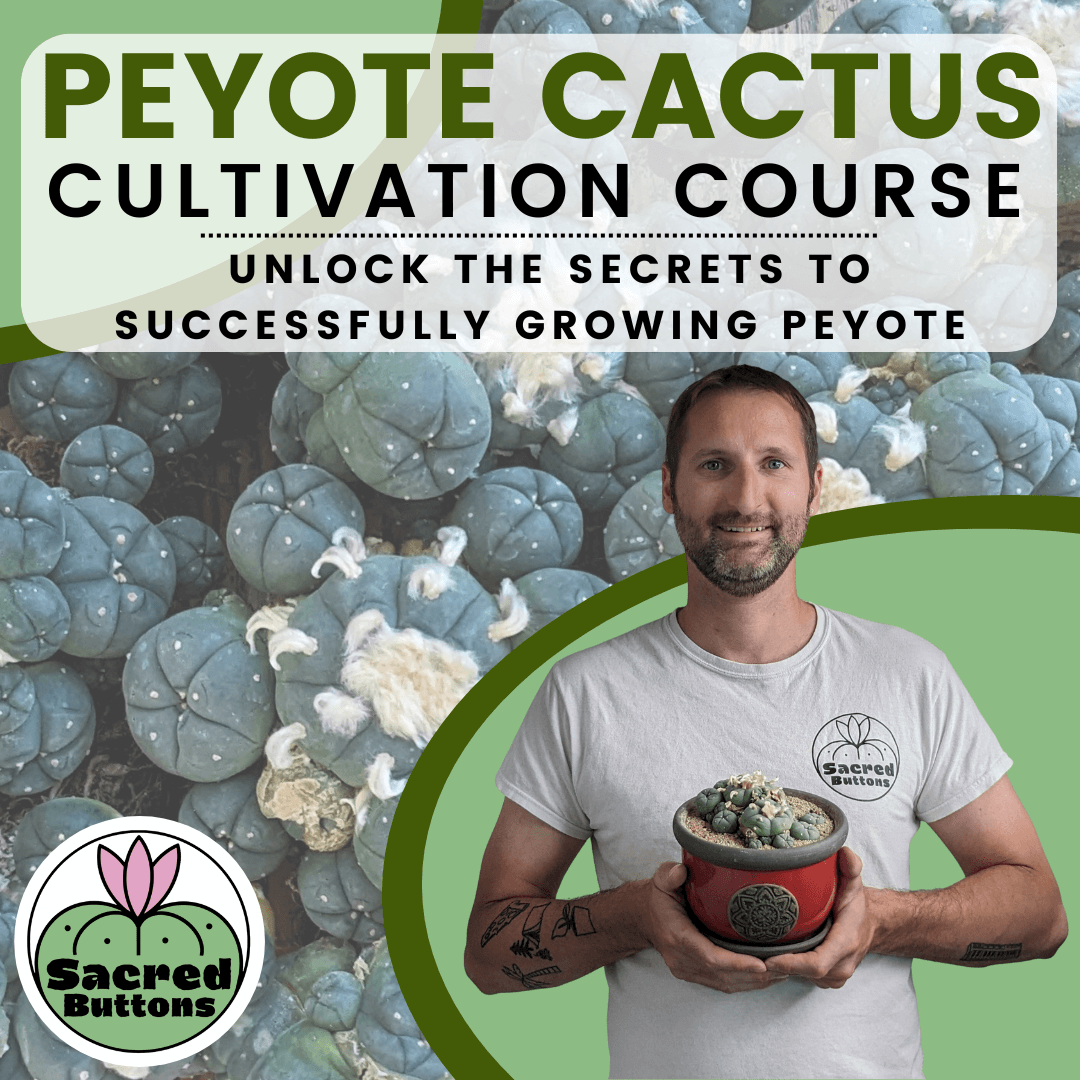 The Peyote Cactus Cultivation Course cover photo.