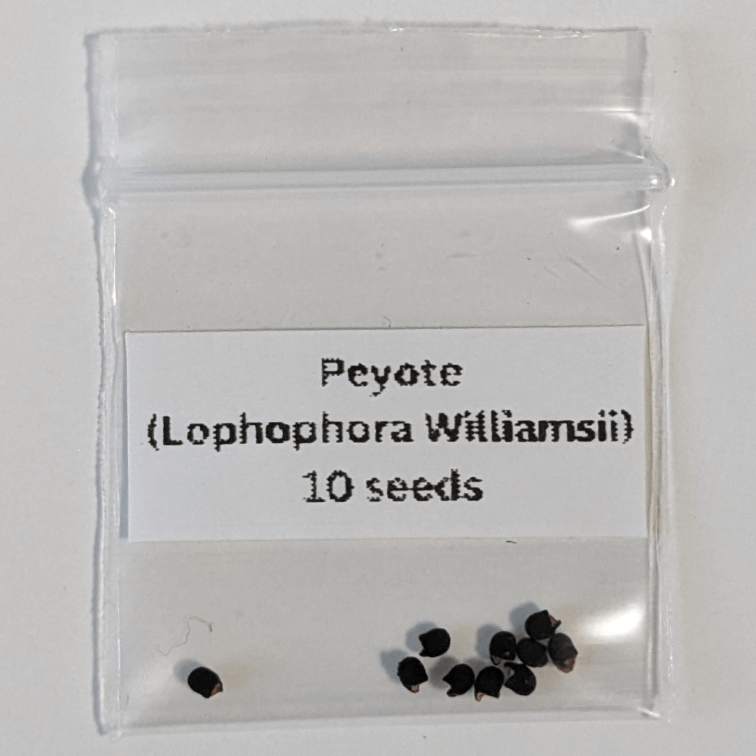 A bag of ten (Lophophora williamsii) seeds.