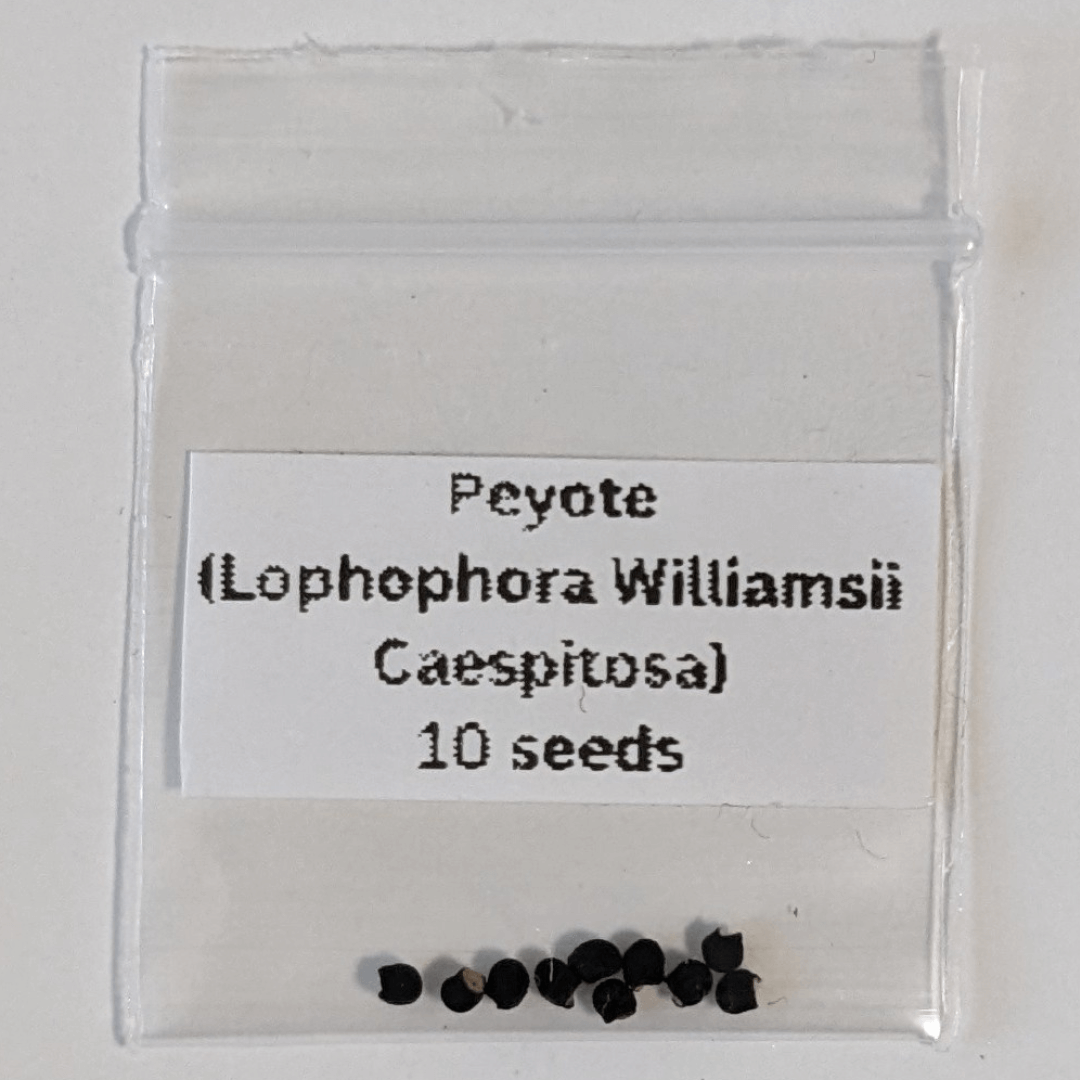 A bag of ten peyote (Lophophora williamsii caespitosa) seeds.
